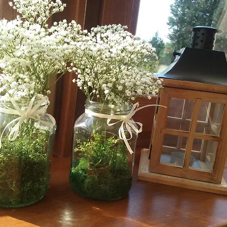 Magnolia- Goscinne Zgorzelec