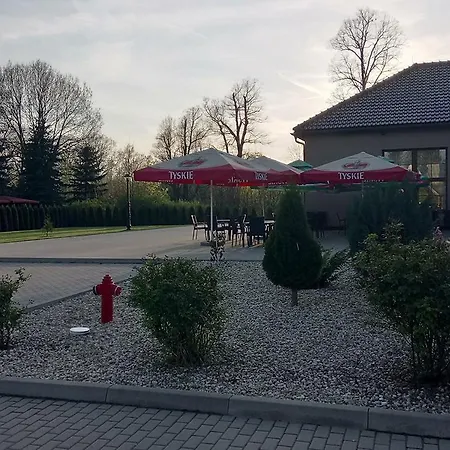 Magnolia- Gościnne
