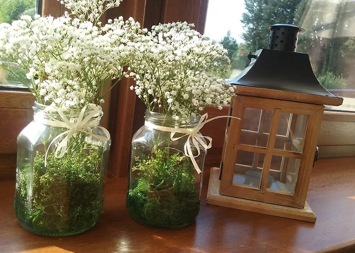 Magnolia- Gościnne Zgorzelec